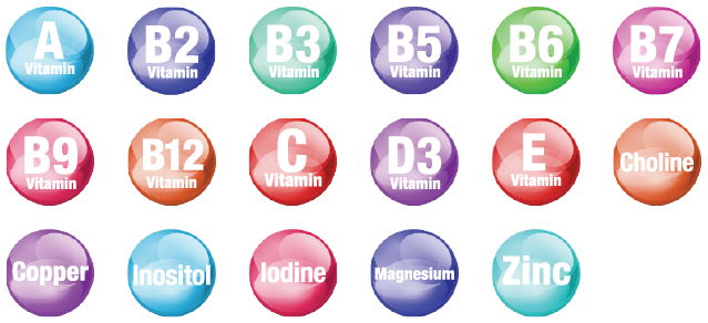 無糖 17 種綜合維他命及礦物質（女童）